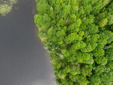 Off Pomeroy Lake Rd unit Lot 27, North of Presque Isle, MI 49947 - photo 6