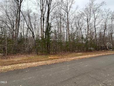 0 Weaver Ridge Rd unit 10137151, Rougemont, NC 27572 - photo 5