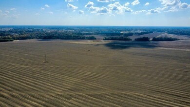 unlisted-address, Headland, AL 36345 - photo 3