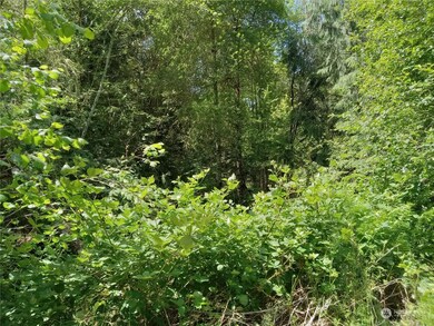 16917 92nd St SW, Longbranch, WA 98351 - photo 3