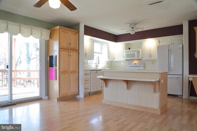 246 Park Ave, Mount Joy, PA 17552 - photo 7