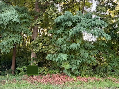 11XX 1st St, Saint Paul Park, MN 55071 - photo 4