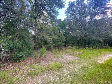 Lot View