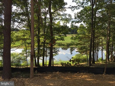 0 Pondview Ln unit 1000403313, Middletown, VA 22645 - photo 3