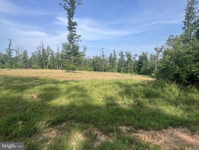 13 Joshuas Way, Unionville, VA 22567 - photo 5