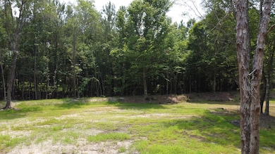 9 Steed Creek Rd, Huger, SC 29450 - photo 2