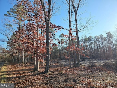 1930 Mccall Ave, Mays Landing, NJ 08330 - photo 5