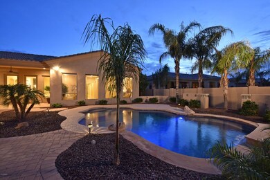 Pool and Patio