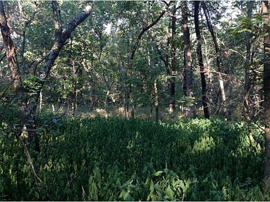 0 On Hwy 43 Hwy unit 687763, Siloam Springs, AR 72761 - photo 7