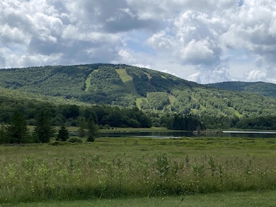 lot 42 Bobcat Rd, Davis, WV 26260 - photo 4