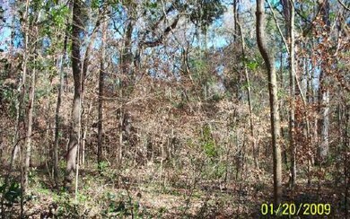 0 Central Terrace unit 69675, Fort White, FL 32030 - photo 4