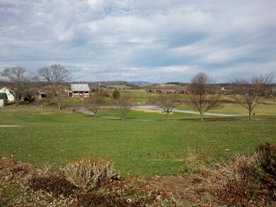 Front yard view- winter