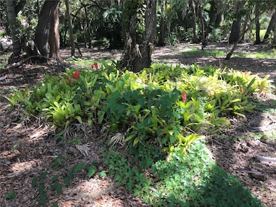 4407 S Shade Ave, Sarasota, FL 34231 - photo 6