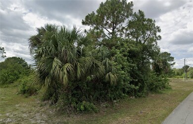 902 E 7th St, Lehigh Acres, FL 33972 - photo 3