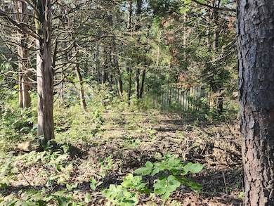 0 Mystic Mountain Blvd unit 24496664, Delray, WV 26714 - photo 3