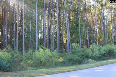 0 Clouds Creek Cir, Leesville, SC 29070 - photo 6