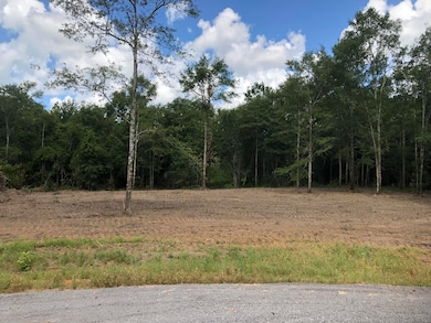 5.90ac Mill Creek Ln, Lucedale, MS 39452 - photo 6