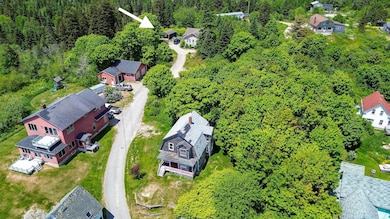 Aerial 1