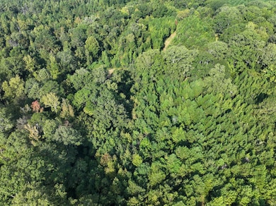 0 Bethesda Rd unit 24909841, Crystal Springs, MS 39059 - photo 6