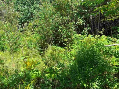 113 Speedwell Dr unit 5, Lyndonville, VT 05851 - photo 2