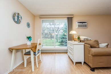 255 S West Ave unit 202, Elmhurst, IL 60126 - photo 6