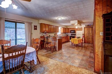 1013 Bear Creek Rd, Leicester, NC 28748 - photo 2