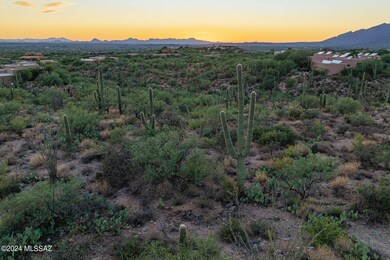 13621 E Deer Run Trail unit 10, Tucson, AZ 85749 - photo 7