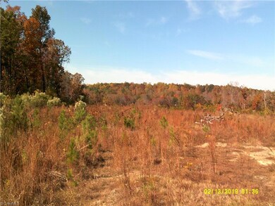 00 New Hope Church Rd, Asheboro, NC 27205 - photo 2