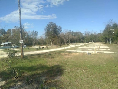 3292 S 2nd Avenue South Ave, Bonifay, FL 32425 - photo 6