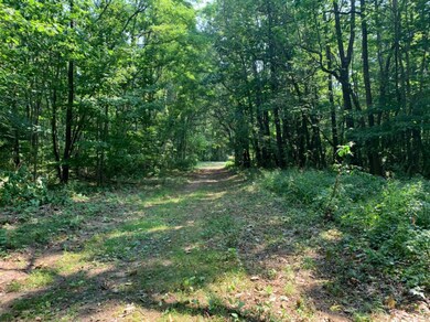 0 Sandridge Rd, Sawyer, MI 49125 - photo 5