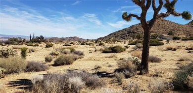 8000 Wesley Rd, Joshua Tree, CA 92252 - photo 2