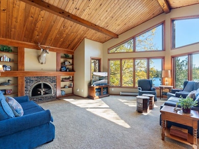 6040 S Thunder Lake Dr NE, Remer, MN 56672 - photo 5