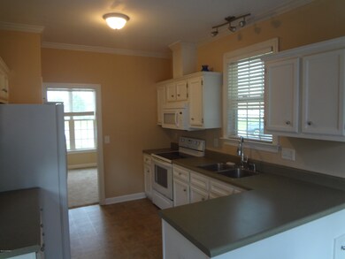 2501 Anton Ct, Winterville, NC 28590 - photo 5