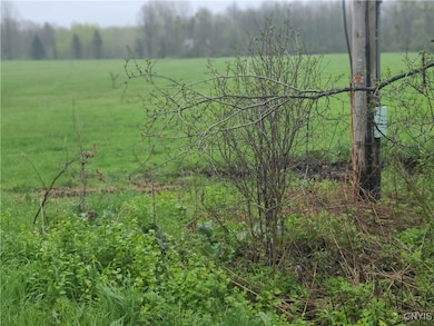 West side of acreage