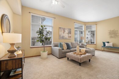 Cheerful surroundings for all to enjoy.