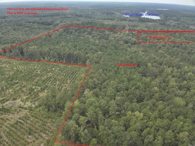 TBD Highway 57, Chidester, AR 71726 - photo 3