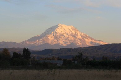 1513 Hardtke Ave NE unit 248, Orting, WA 98360 - photo 3
