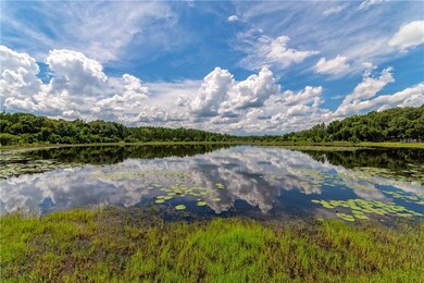 Lake Center Shot