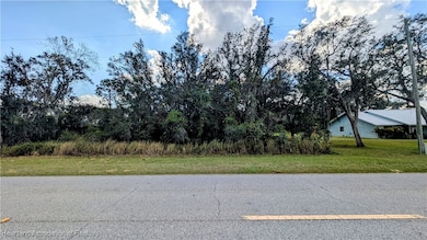 2673 W County Line Rd, Avon Park, FL 33825 - photo 3
