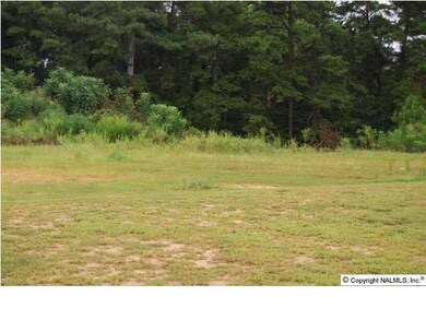 0 Randles Rd, Grant, AL 35747 - photo 2