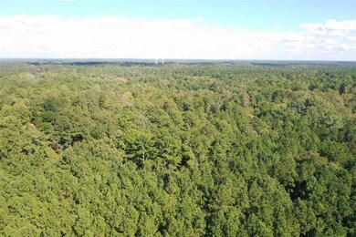 001 Pilgrim Rest Dr, Brandon, MS 39042 - photo 2