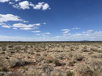 2331 E Doris Dr, Valle, AZ 86046 - photo 6