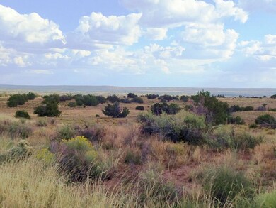Navajo Mesa (in background)