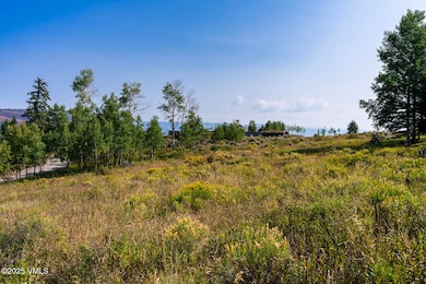284 Settlers Loop, Edwards, CO 81632 - photo 7