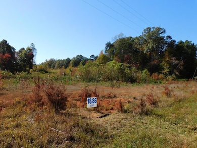 18.86 Ac Elkhorn Rd, Java, VA 24565 - photo 7