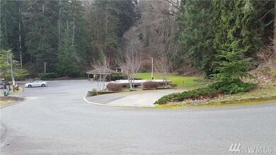 10109 Selma Cir, Anderson Island, WA 98303 - photo 4