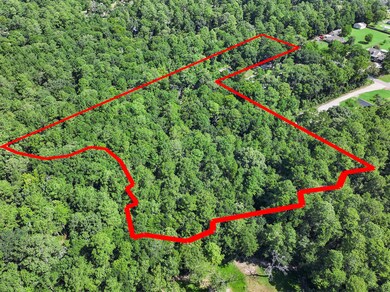 22909 Baneberry Rd, Magnolia, TX 77355 - photo 7