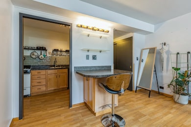 1150 N Lake Shore Dr unit 9J, Chicago, IL 60611 - photo 7