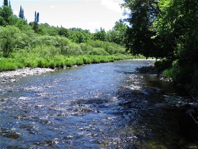 Fish Creek view downstream
