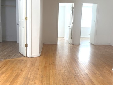 238 W 31st St unit 2E, Chicago, IL 60616 - photo 3